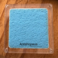 Founding Chamber Ant Farm - Small to Mid ants