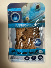 Superfresh Insect Food by Pisces