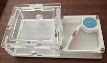 Ant Farm Horizontal Combo - Mini