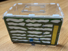 Package Deals Comparison 5 deals to choose from Compare prices here.  NOTE: all Queens have workers