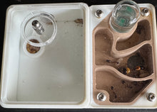 Antfarm 3D Printed with super hydration