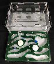 Ant Farm Horizontal Combo - Medium