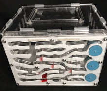 Ant Farm  Vertical Model 2  Combo-Large-Formicarium