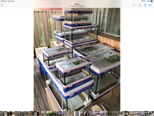 Fish Tank Aquarium 4 foot pick up Canberra Pick up only FREE HEATER DEAL