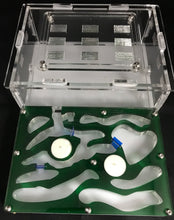 Ant Farm Horizontal Combo - Medium