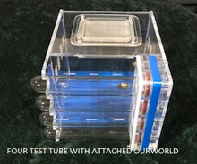 Ant Farm Acrylic Formicarium 4 tube design big DIY for Live Ants
