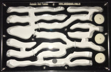 Ant Farm  Vertical Model 2  Combo-Large-Formicarium