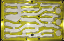 Ant Farm  Vertical Model 2  Combo-Large-Formicarium