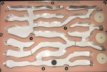 Ant Farm  Vertical Model 2  Combo-Large-Formicarium