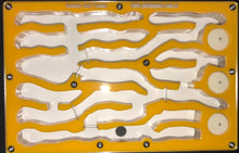 Ant Farm  Vertical Model 2  Combo-Large-Formicarium