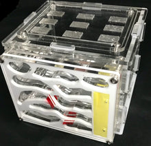 Small Vertical Antfarm and Outworld Combination