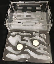 Ant Farm Horizontal Combo - Medium