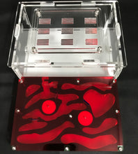 Ant Farm Horizontal Combo - Medium