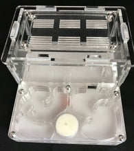 Ant Farm Horizontal Combo - Small