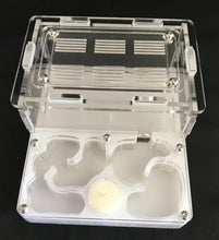 Ant Farm Horizontal Combo - Small