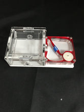 Ant Farm Horizontal Combo - Mini