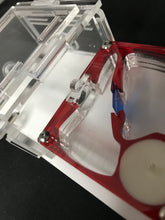 Ant Farm Horizontal Combo - Mini