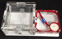 Ant Farm Horizontal Combo - Mini