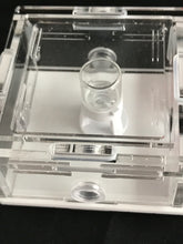 Ant Farm Horizontal Combo - Mini