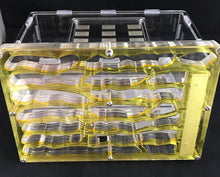 Large Vertical Antfarm and Outworld Combination