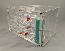 Package Deal 1 Large Combo Vertical, Starter Pack with Queen  Ant