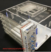 Ant Farm Acrylic Formicarium 4 tube design big DIY for Live Ants