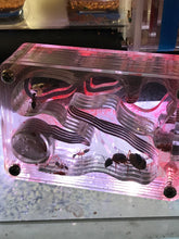 Ant Farm Formicarium Acrylic Hydration sponge founding size for Live Ants