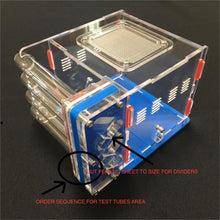 Ant Farm Acrylic Formicarium 2 tube design big DIY for live Ants