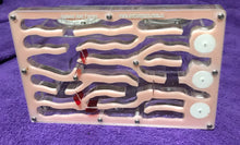 Ant Farm  Vertical Model 2  Combo-Large-Formicarium