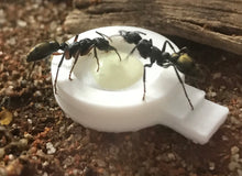 Feeding Bowl with steps
