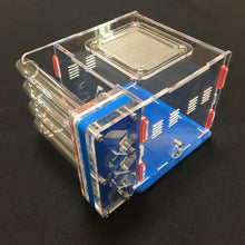 Ant Farm Acrylic Formicarium 4 tube design big DIY for Live Ants