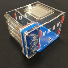 Ant Farm Acrylic Formicarium 4 tube design big DIY for Live Ants
